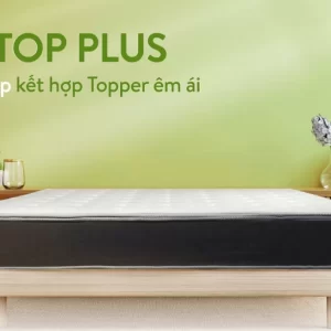 Đệm bông Everon top plus