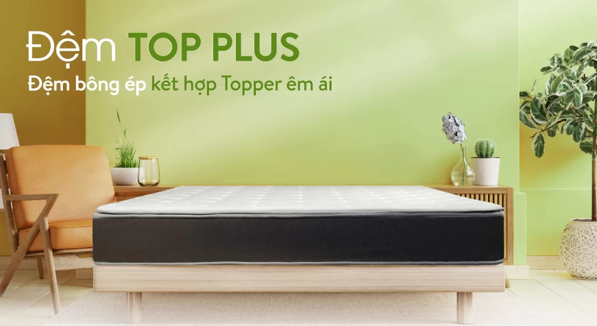 Đệm bông Everon top plus