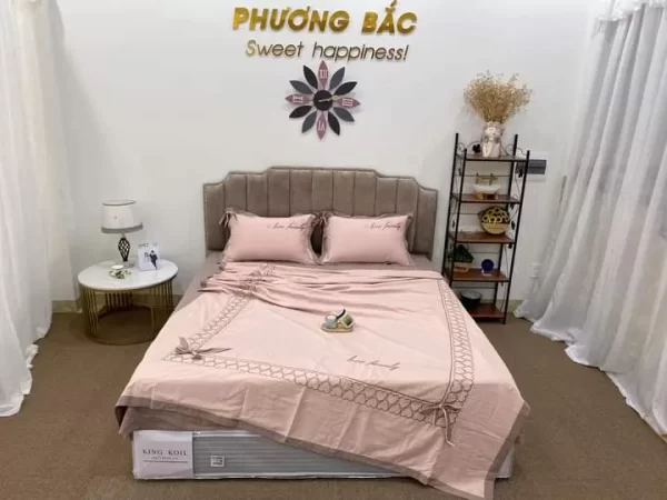 Bộ chăn ga gối lụa tencel tim hồng cute