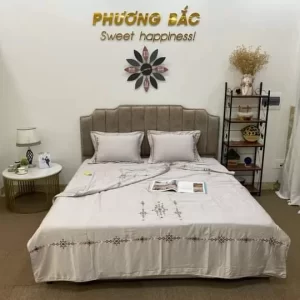 Bộ chăn ga EST 23031