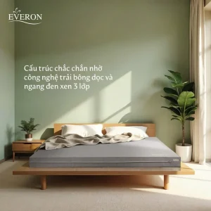 đệm bông ép everon